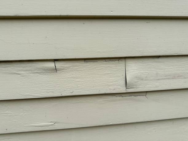 How To Choose The Right Materials for Your Siding Installation in 'Lakeview, CA